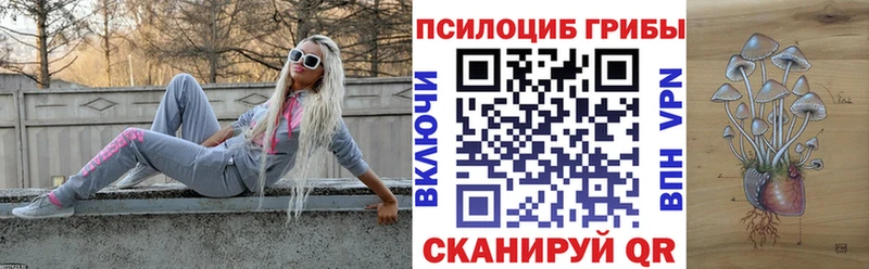 мориарти Telegram  Мценск  Псилоцибиновые грибы мухоморы 